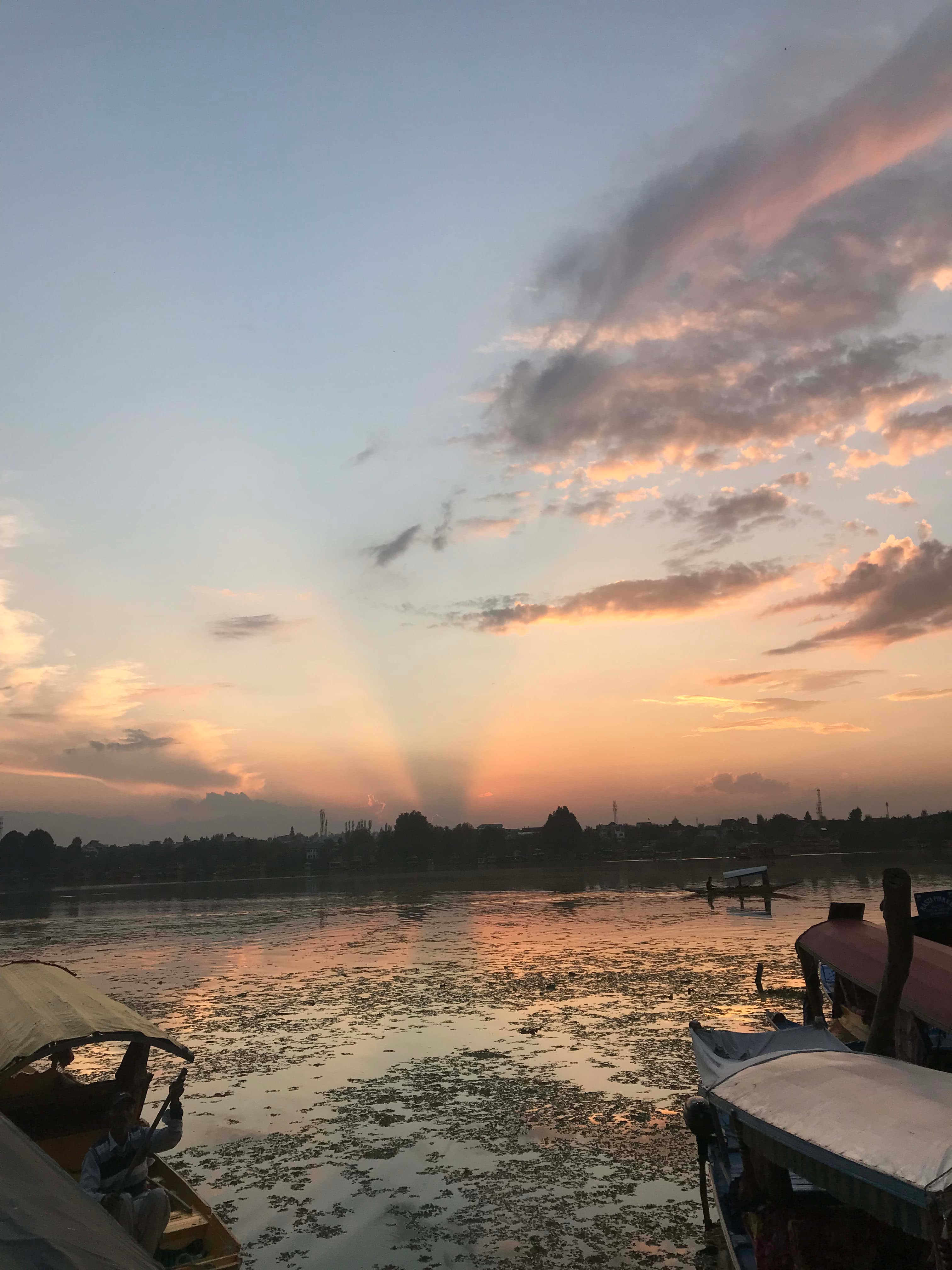 sunsets in dal